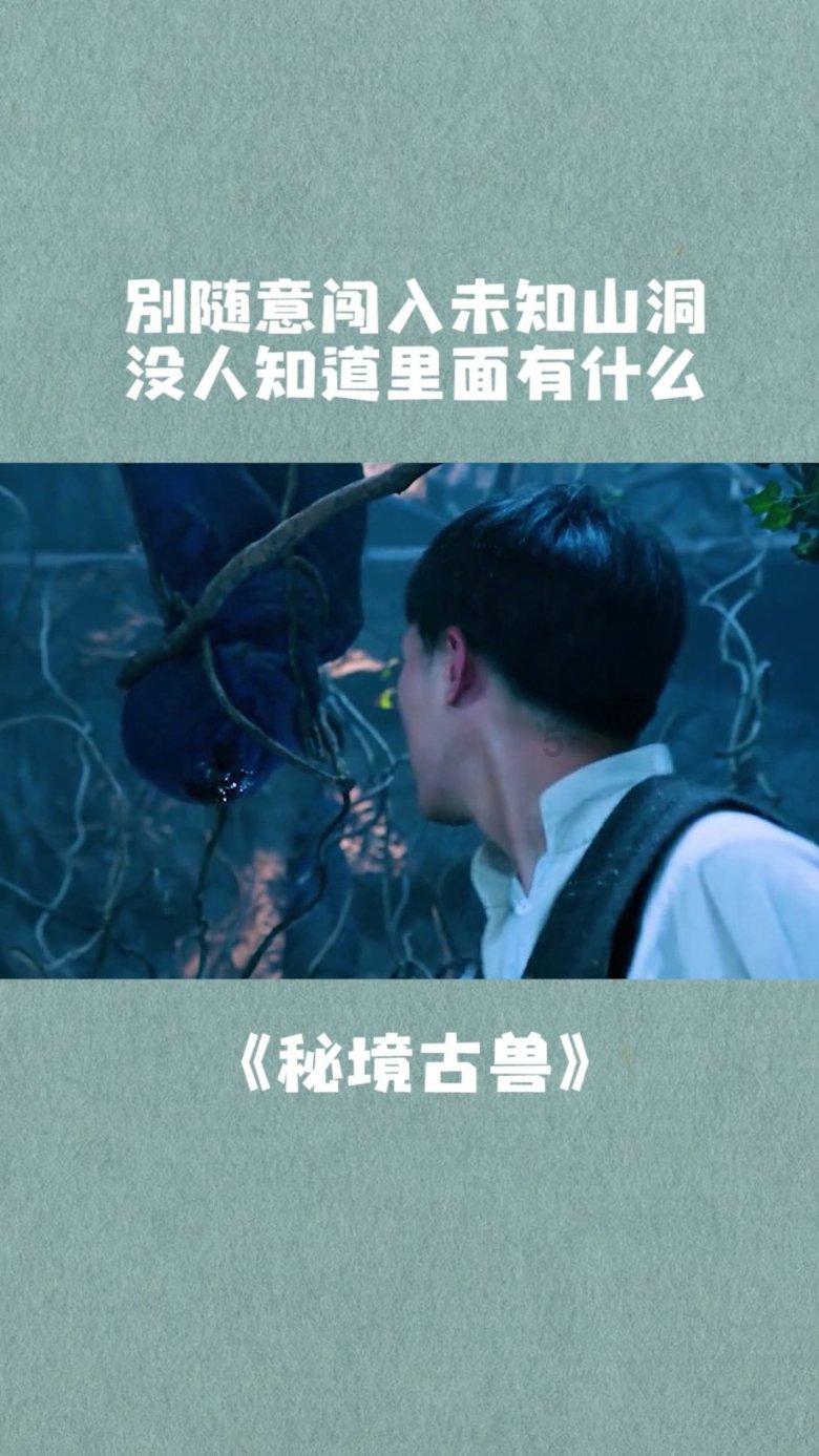 划龙舟吃粽子
