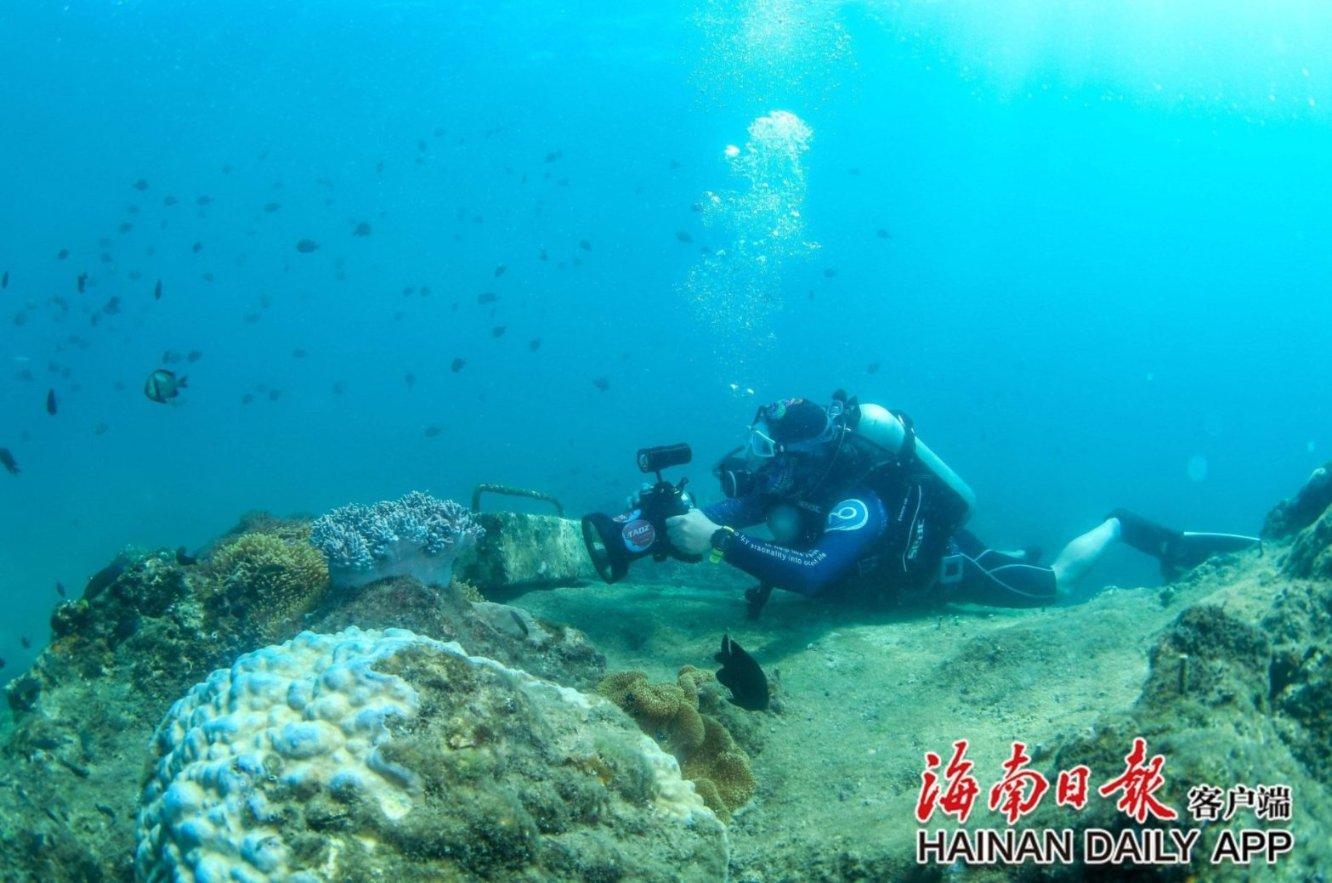 加央行连续四次维持利率不变 但降息之路已逐渐明晰